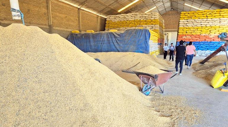 Incautan arroz de ingenios y lo entregan a&nbsp;Emapa