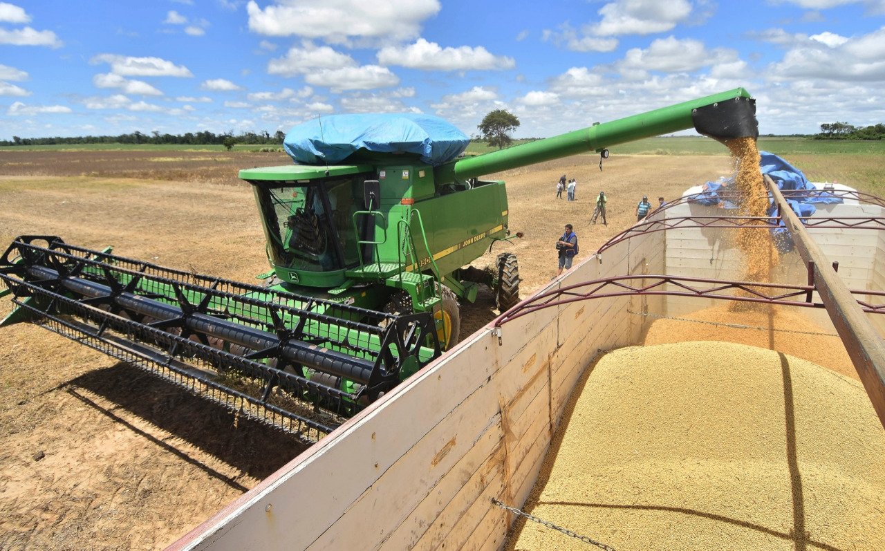 Anapo propone plan integral para revertir crisis en la producción de trigo
